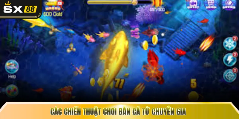 Các chiến thuật chơi bắn cá từ chuyên gia