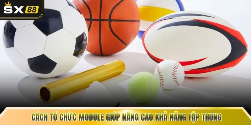 Cách tổ chức module giúp nâng cao khả năng tập trung 