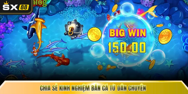 Chia sẻ kinh nghiệm bắn cá từ dân chuyên