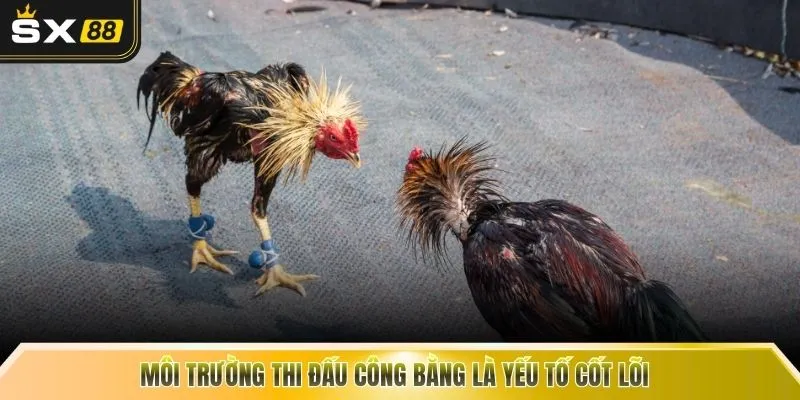 Môi trường thi đấu công bằng là yếu tố cốt lõi 