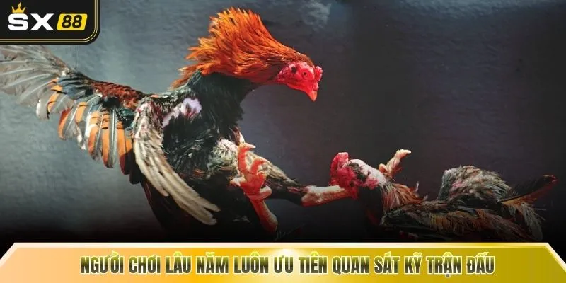 Người chơi lâu năm luôn ưu tiên quan sát kỹ trận đấu