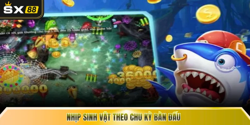 Nhịp sinh vật theo chu kỳ bàn đấu